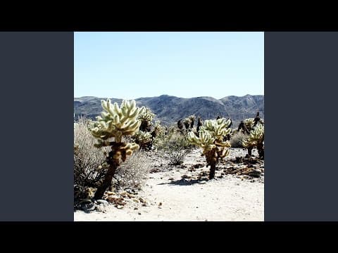 Andrea - Jaim (Ilian Tape)